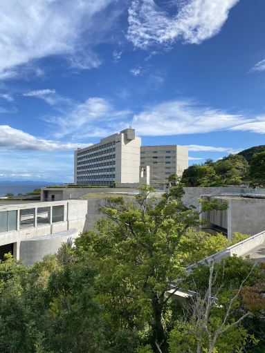 2026 海の教会 | 淡路市観光スポットの観光ガイドと旅行体験 | Trip