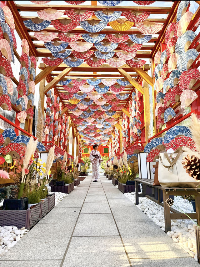 〜埼玉県〜可愛い🪭飾り！秋限定！青葉園