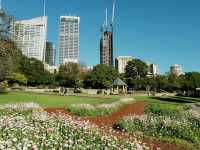 Royal Botanic Garden Sydney