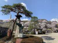 山梨観光　舞鶴城公園