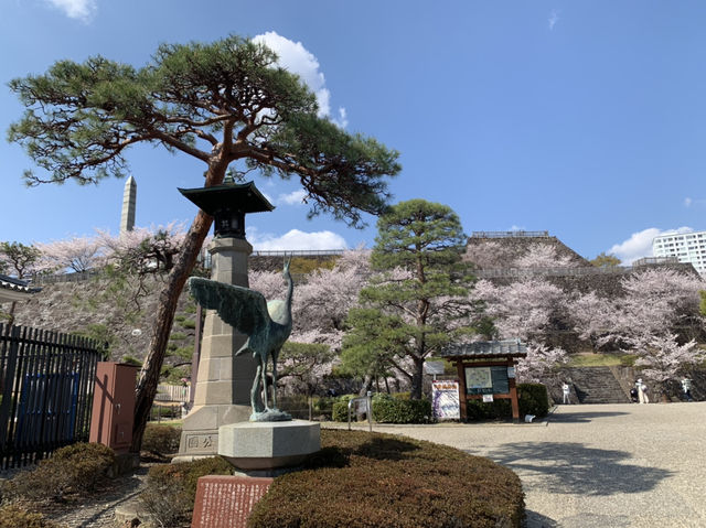 山梨観光　舞鶴城公園
