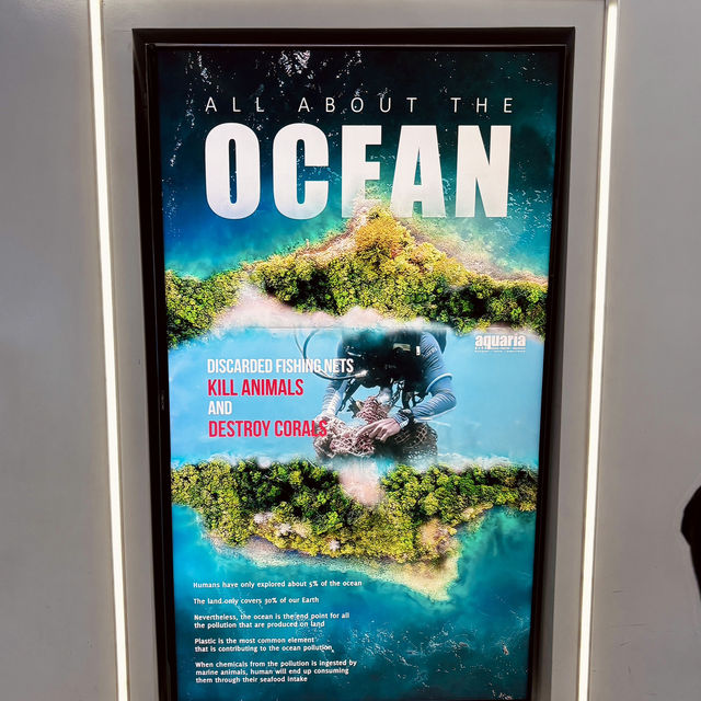 "Underwater Wonders: A Review of Aquaria KLCC"