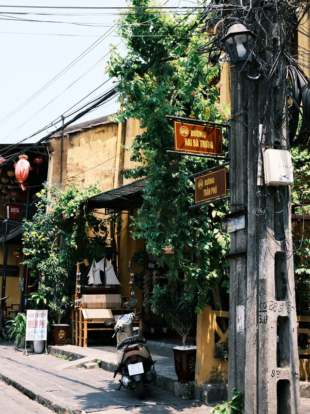 🇻🇳峴港旅行·充滿鮮花和明豔黃牆的會安古城