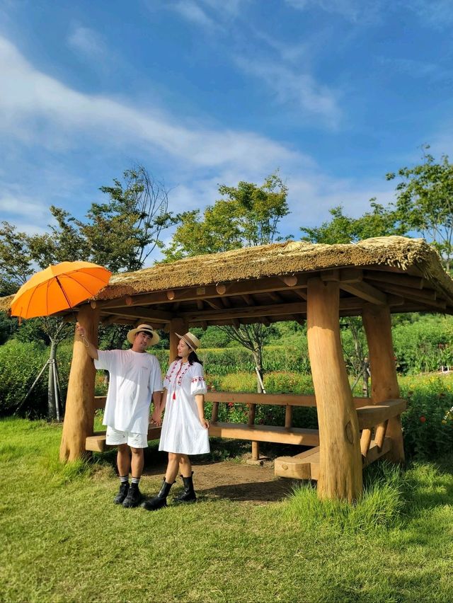 가을 프사 바꾸러 가야할 댑싸리공원🧡