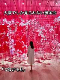 大阪 ❤︎ 迫力の大規模個展❤️