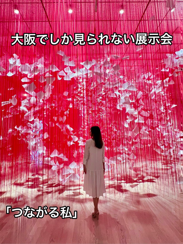 大阪 ❤︎ 迫力の大規模個展❤️