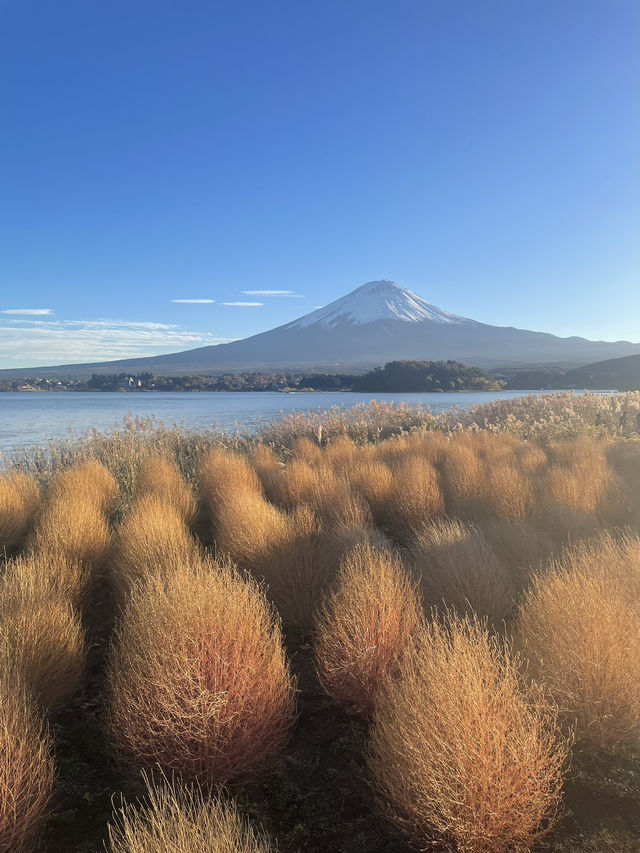 【山梨】富士山のほとりで秋満喫🍂
