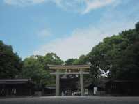 【東京観光】東京の都会に広がる癒しの森！明治神宮を御参拝⛩️