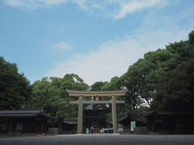 【東京観光】東京の都会に広がる癒しの森！明治神宮を御参拝⛩️
