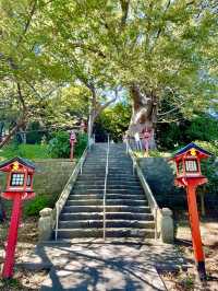 【茨城県】日本武尊を祀る最も歴史ある神社