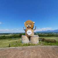 【フラワーランドかみふらの:北海道上富良野町】カラフルなお花が見れるフラワーランドかみふらの🌷