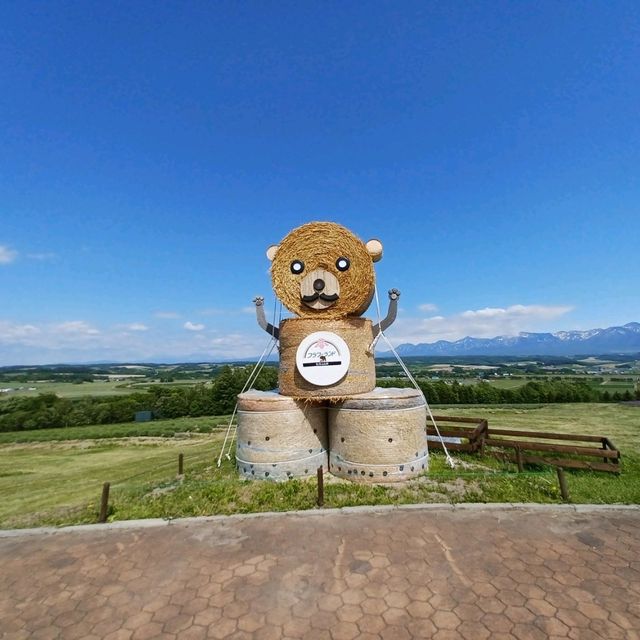 【フラワーランドかみふらの:北海道上富良野町】カラフルなお花が見れるフラワーランドかみふらの🌷