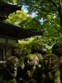 【京都観光】かわいい羅漢像がいっぱい！「愛宕念仏寺」⛩️🗿