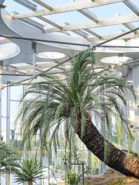 Gardens by the Bay in Shanghai!