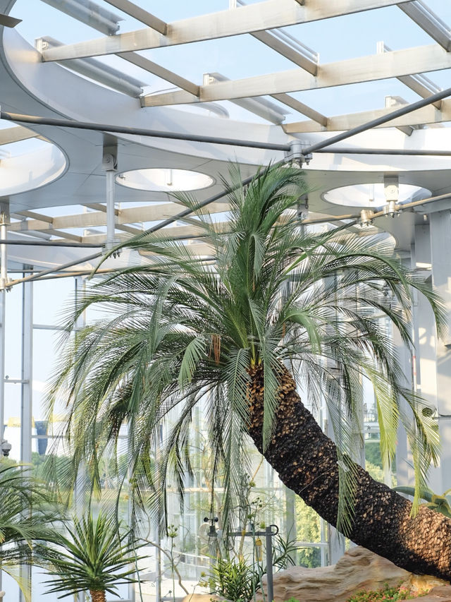 Gardens by the Bay in Shanghai!