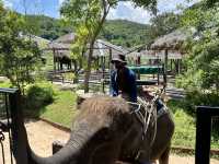 Fun day at Hua Hin Safari Park 