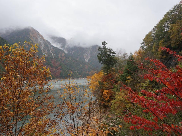 自助探險立山黑部：沉浸絕美山水之旅