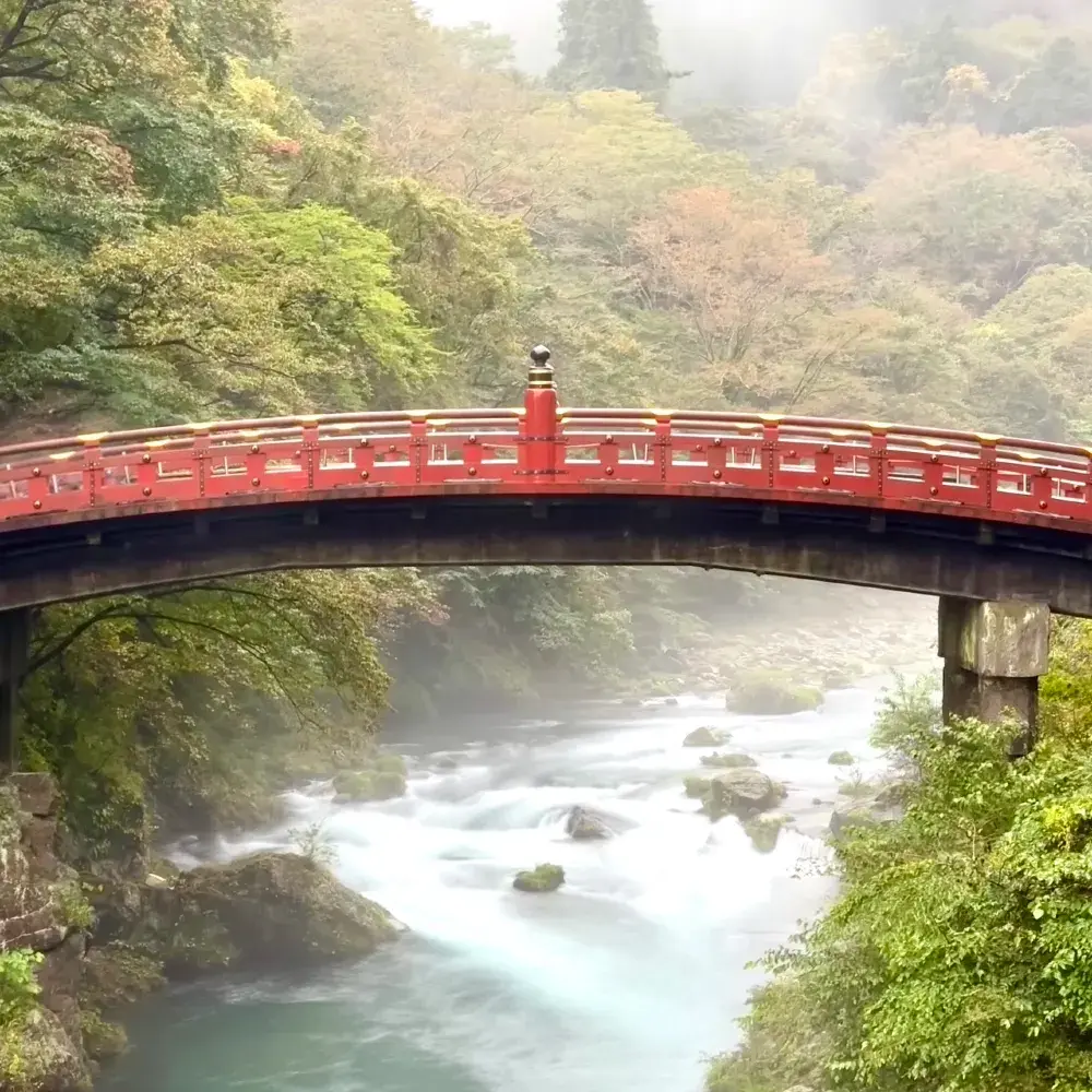 日光への日帰り旅行 #日光旅行