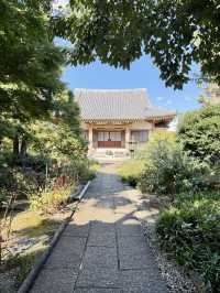 【東京都】多宝塔と緑の美しいコントラスト