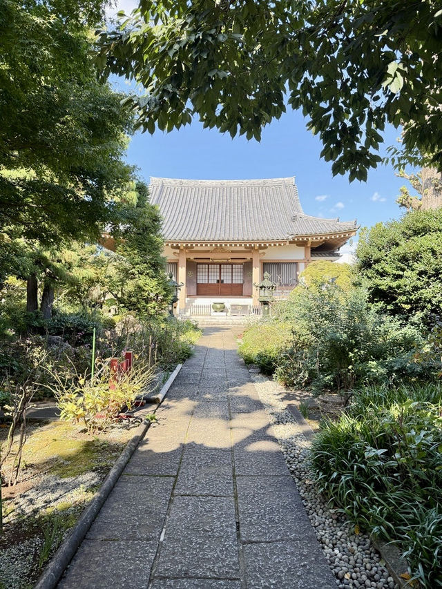 【東京都】多宝塔と緑の美しいコントラスト