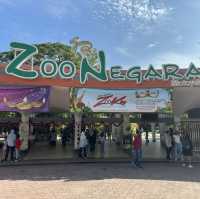 Animal Encounters and Endless Fun: My Zoo Negara Experience!