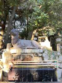 日本獨旅18天Day11 奈良