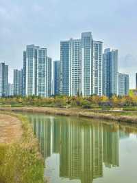 청라의 거주 중이라면 꼭 한번 가봐야 하는 호수공원🏞️