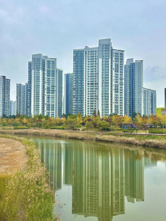 청라의 거주 중이라면 꼭 한번 가봐야 하는 호수공원🏞️