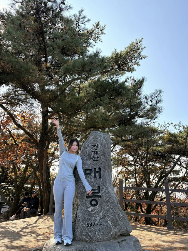 友達と1泊2日강릉trip &1人で4泊5日서울trip🍀