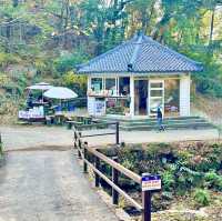 강화도 단풍 명소 여행지 마니산