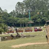 Wild Encounters: A Day at Guangzhou Safari Park