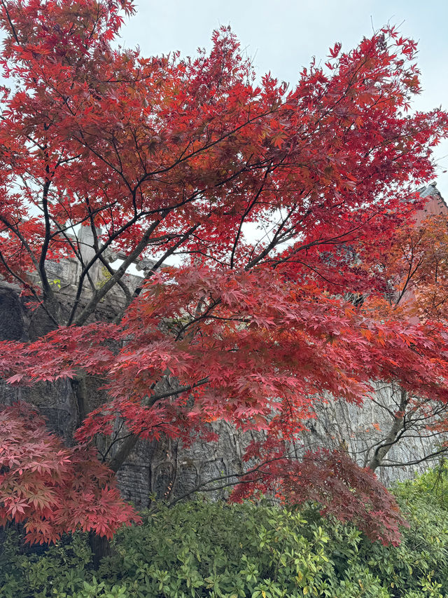 Chang Sha, China.