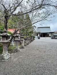 【鹿児島・知覧おすすめ観光スポット】