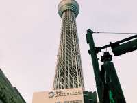 # TOKYO🇯🇵 東京漫遊の旅#