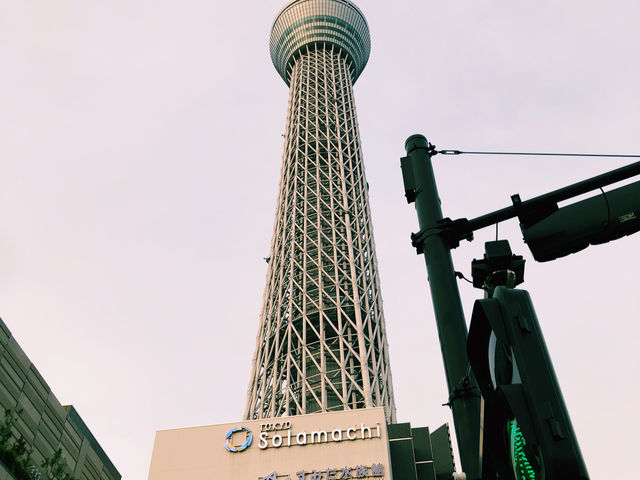 # TOKYO🇯🇵 東京漫遊の旅#