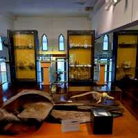 泰國曼谷朱拉隆功大学自然历史博物館，親子博物館遊覽好去處