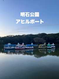 兵庫　18歳以下の子どもがいたら割引！✨明石公園のボート
