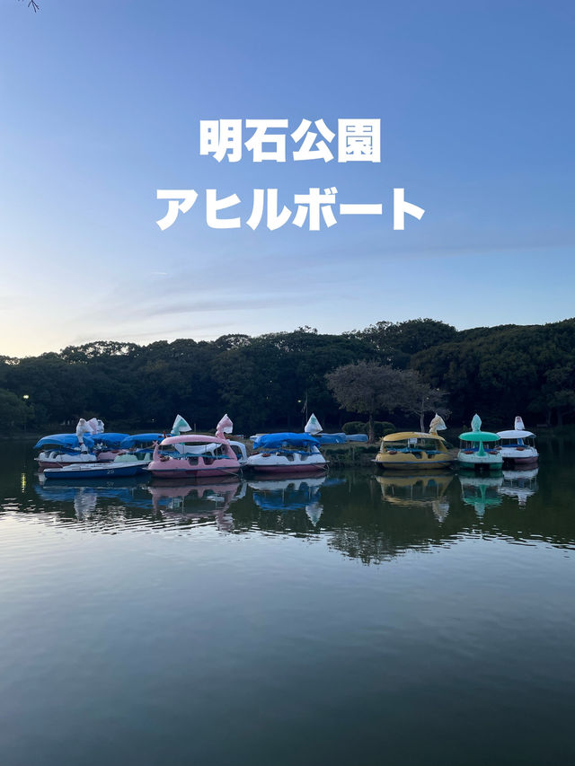 兵庫　18歳以下の子どもがいたら割引！✨明石公園のボート