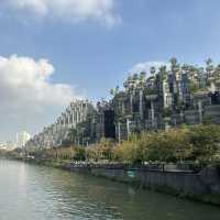 Why Shanghai??