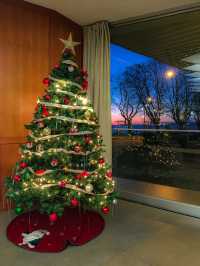 【バンクーバー🇨🇦】クリスマスを探しにお散歩へ🎅