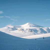 Sarek National Park – Jokkmokk