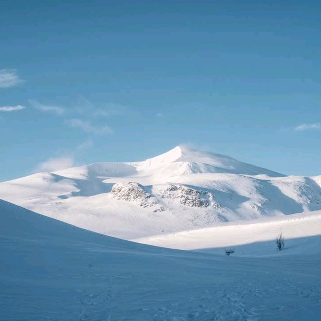 Sarek National Park – Jokkmokk