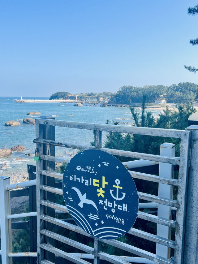 จุดชมวิวทะเลสุดปังแห่งโพฮัง! ⚓️🌊🇰🇷