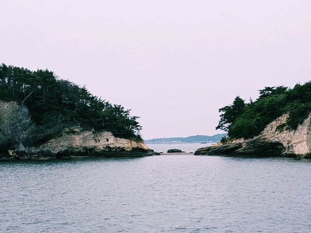 【宮城松島 船で島巡り 後半：デッキで感じる風とカモメのサーフィン】