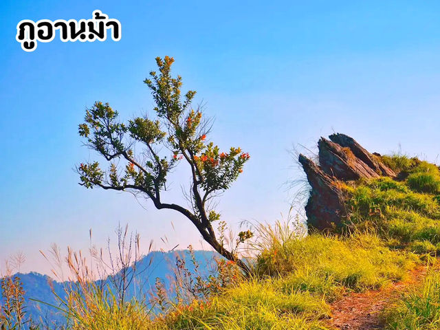 ภูอานม้า จ.พะเยา