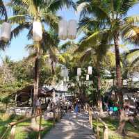 Coconut market - กาดบะป๊าว เชียงใหม่