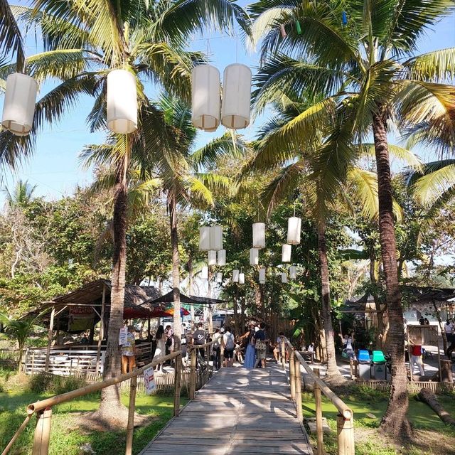 Coconut market - กาดบะป๊าว เชียงใหม่