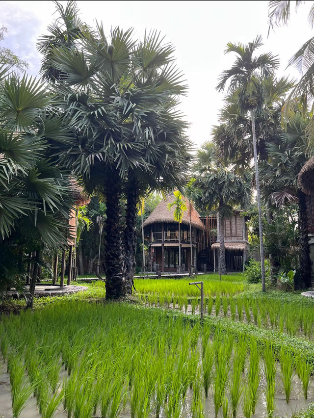 La a natu 🛖 | ที่พักติดหาดส่วนตัว บรรยากาศดี 