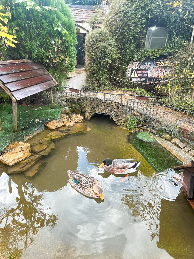 【湯布院】入場無料✨可愛いおとぎ話のような街並み✨