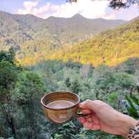 探索泰國清邁的“巨人咖啡”" ☕